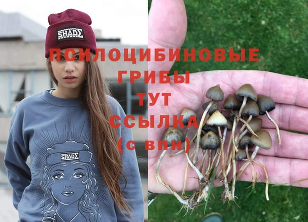 ПСИЛОЦИБИНОВЫЕ ГРИБЫ Ладушкин