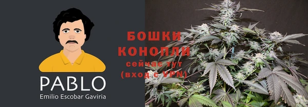 крисы Лагань