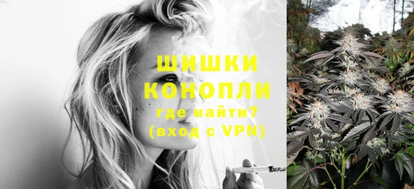 крисы Лагань
